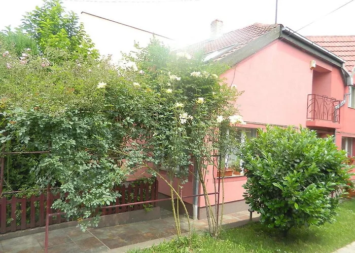 Pensionat Vio Cluj-Napoca