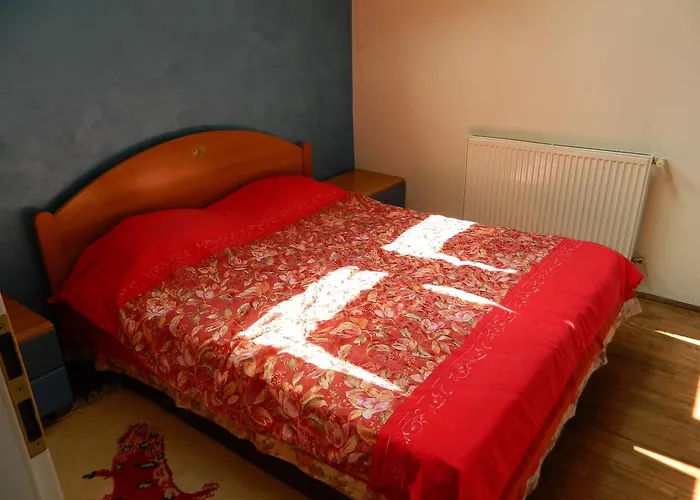 Vio Pensionat Cluj-Napoca